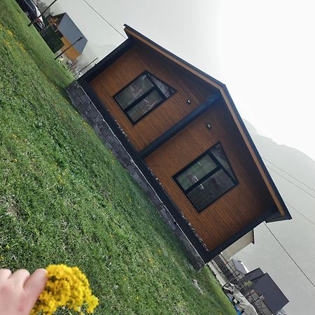 Same Cottage Kazbegi Extérieur photo